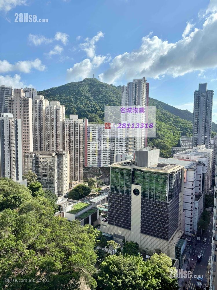 雅福台 租盘 开放式间隔 , 1 浴室 348 平方尺