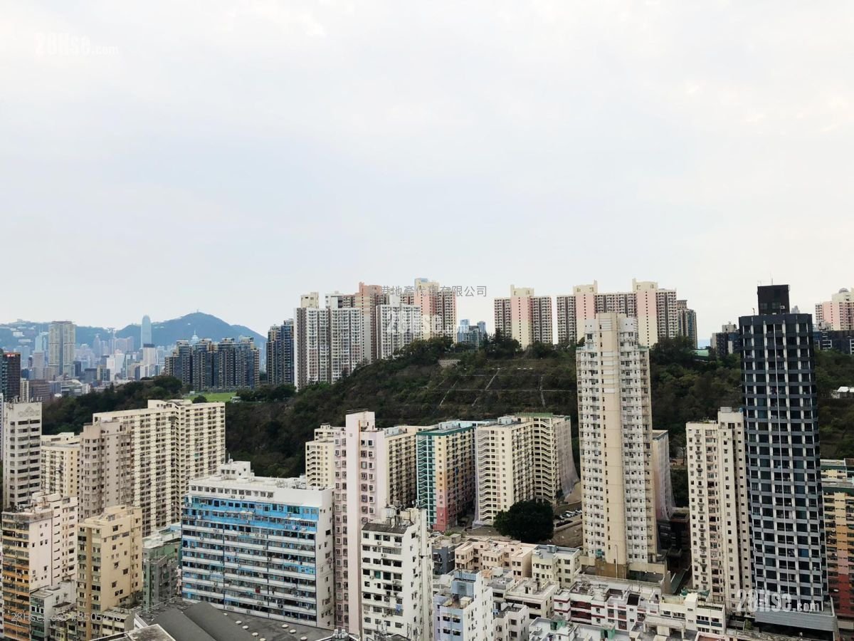 Artisan Garden Rental 1 Bedroom , 1 Bathroom 319 ft²