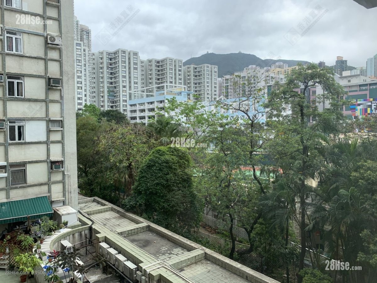 鯉景灣 租盤 2 房 , 1 浴室 536 平方呎