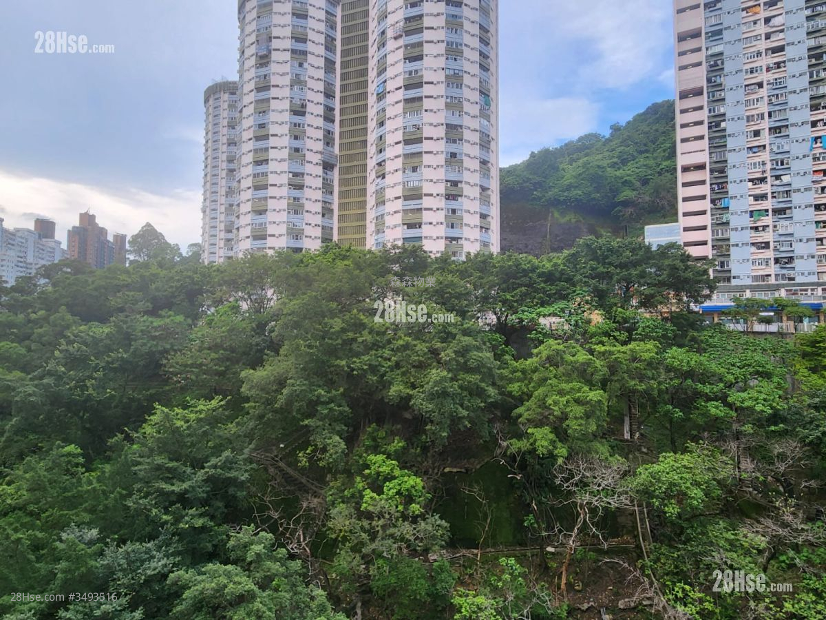 Villa D\' Arte Rental 2 Bedrooms , 1 Bathroom 450 ft²
