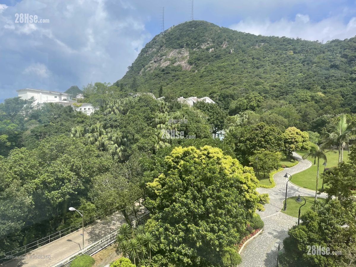 The Mount Austin 租盘 3,235 平方尺