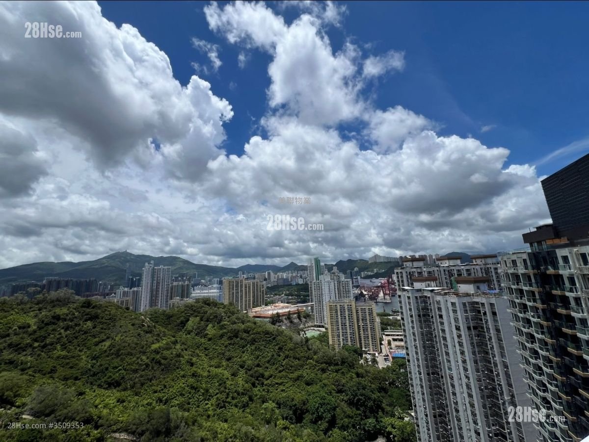 明翘汇 售盘 1 房 , 1 浴室 299 平方尺