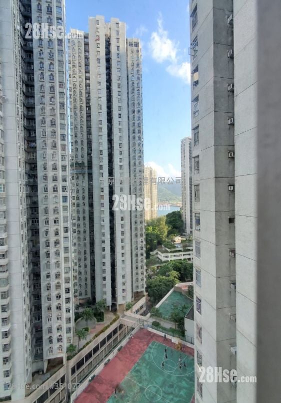 Belvedere Garden Rental 3 Bedrooms , 1 Bathroom 572 ft²