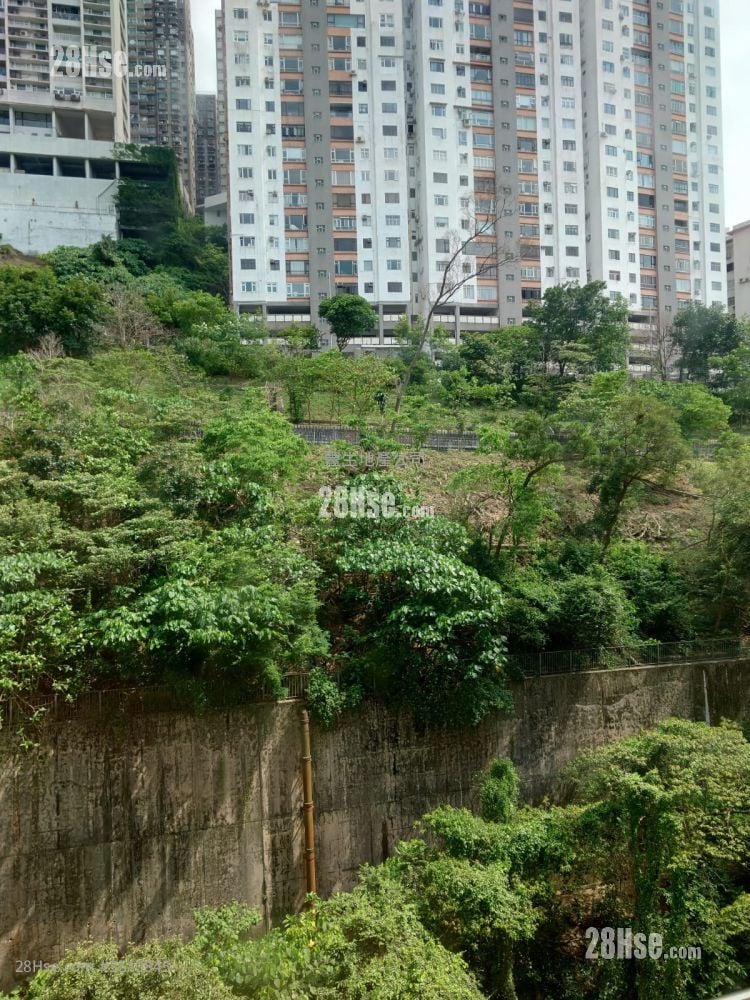 Fu King Court Sell 2 Bedrooms , 1 Bathroom 278 ft²