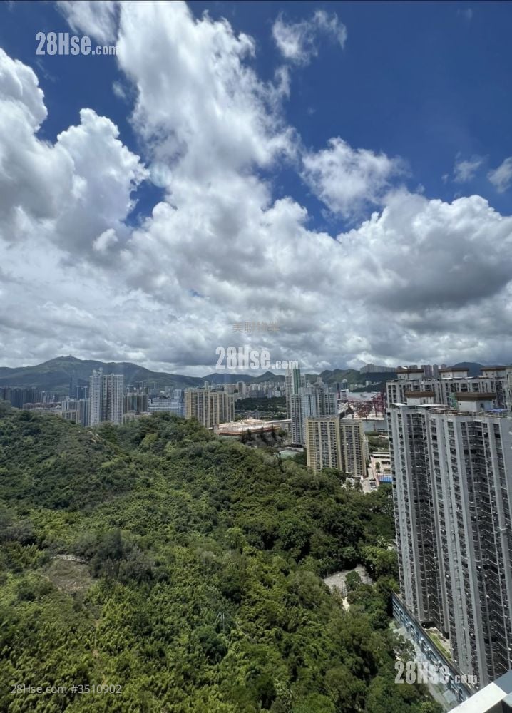 明翘汇 售盘 1 房 299 平方尺