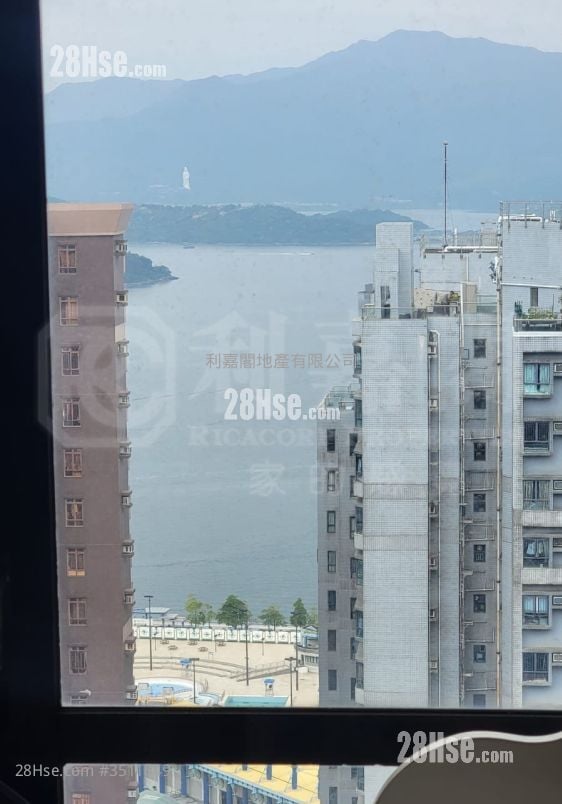 新港城 售盘 2 房 363 平方尺