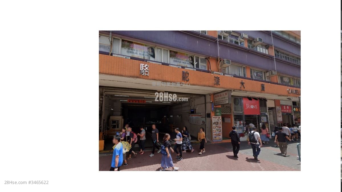 骆驼漆大厦 租盘