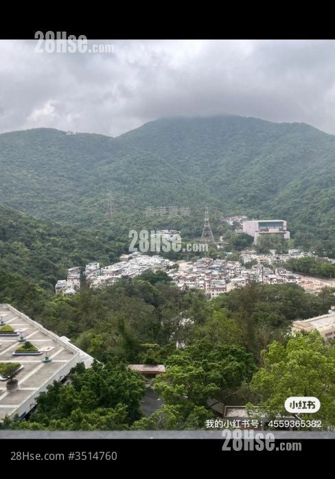 景明苑 租盘 2 房 , 1 浴室 554 平方尺