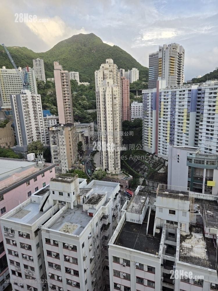 景觀