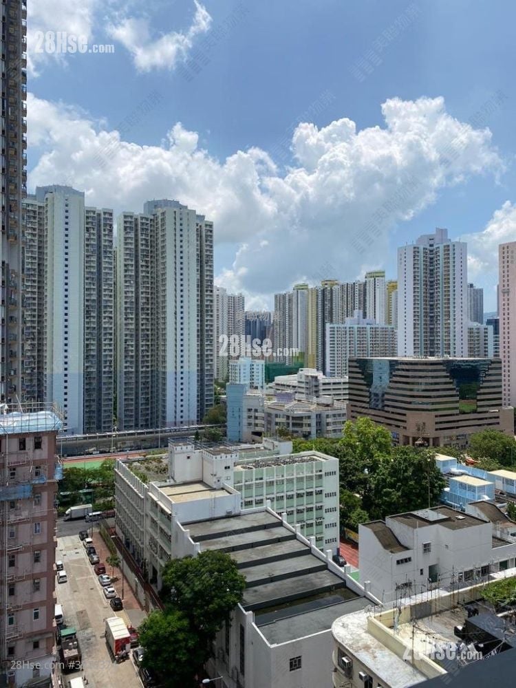 The Amused Sell 1 Bedroom , 1 Bathroom 309 ft²