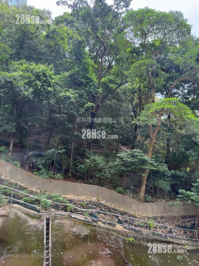 山光苑 售盘 2 房 , 1 浴室 615 平方尺