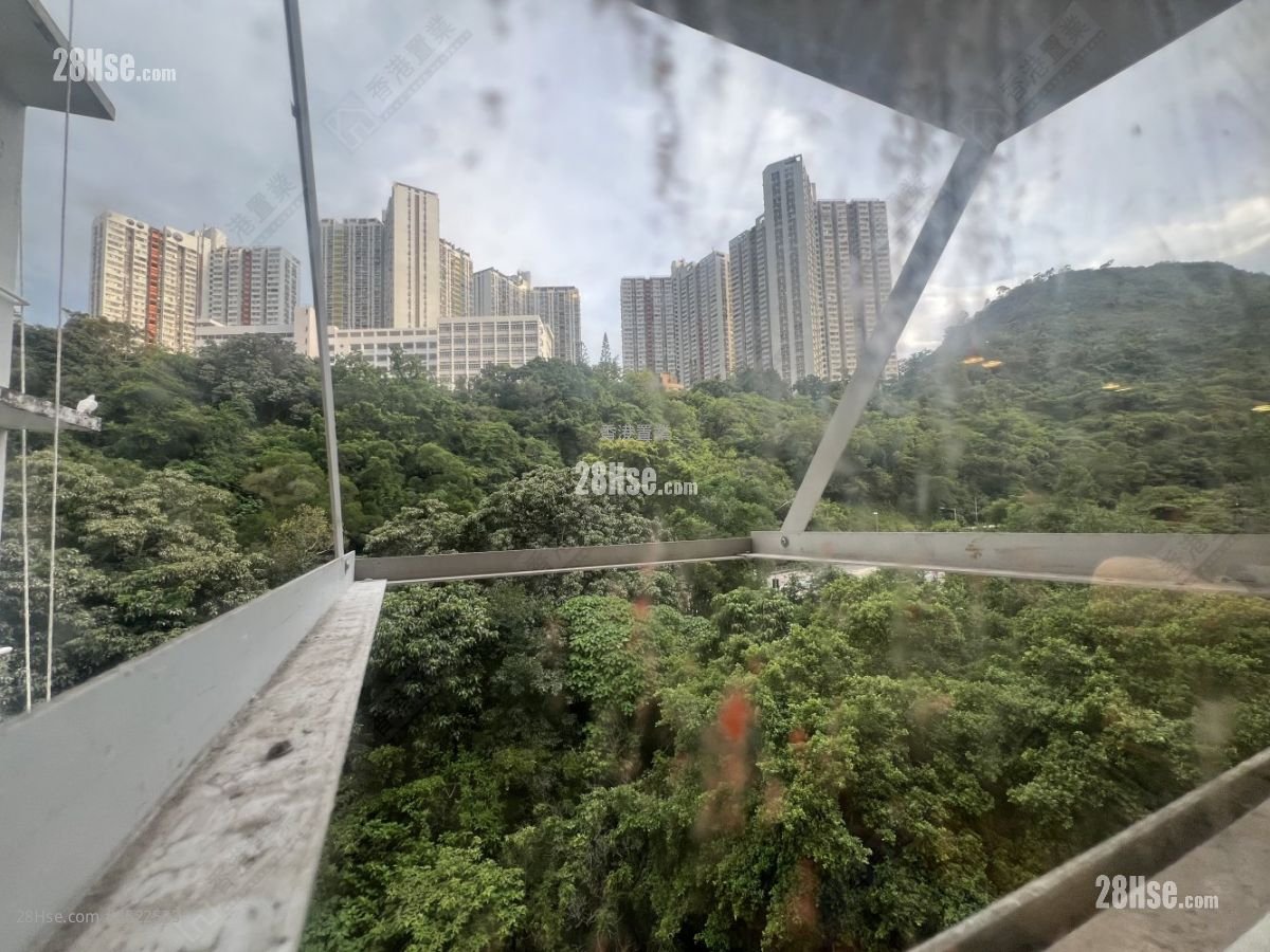 文丽大楼 售盘 313 平方尺