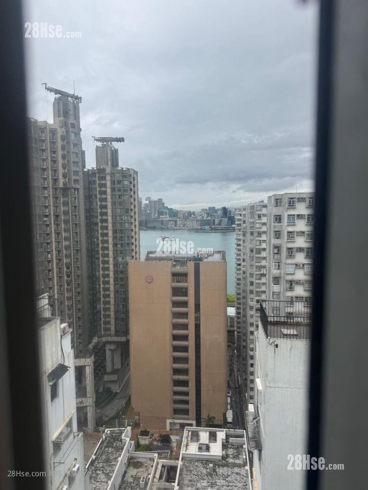 英皇中心 租盘 1 房 , 1 浴室 292 平方尺