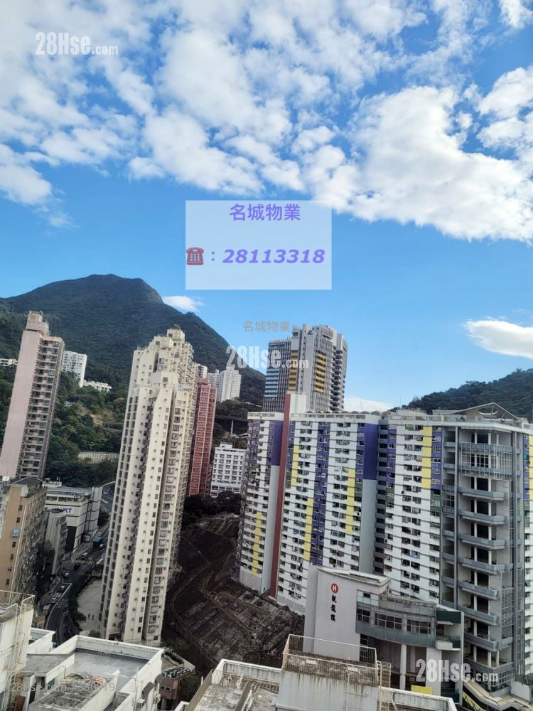 美菲阁 售盘 1 房 , 1 浴室 302 平方尺