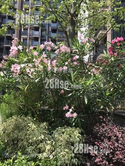 Wetland Seasons Park 售盤 2 房 435 平方呎