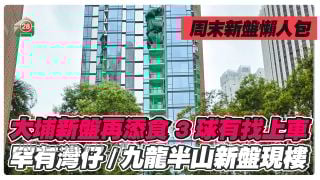 大埔新盘再添食 3球有找上车｜罕有湾仔/九龙半山新盘现楼 买细单位进驻豪宅区！