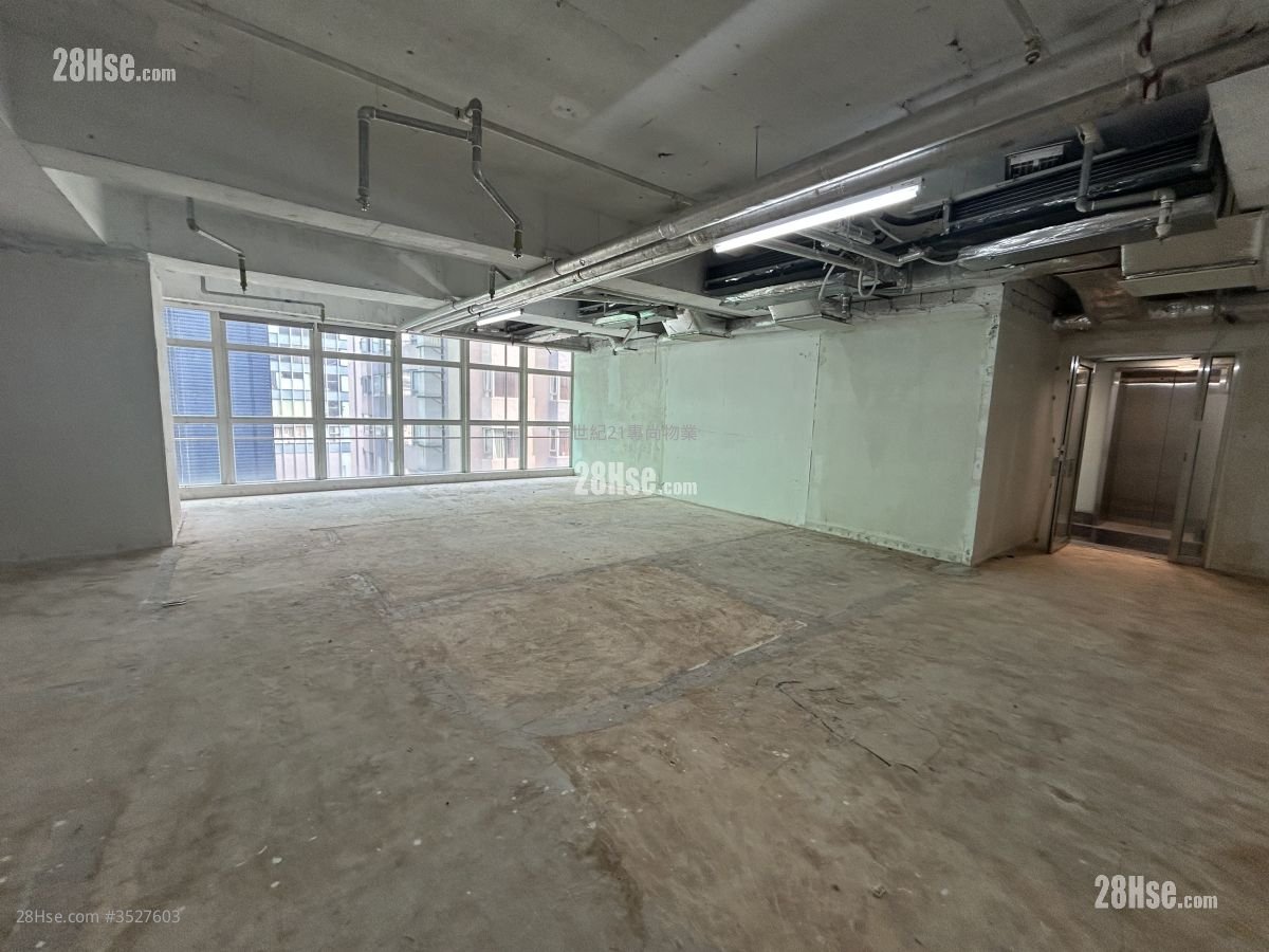 10 Knutsford Terrace Rental