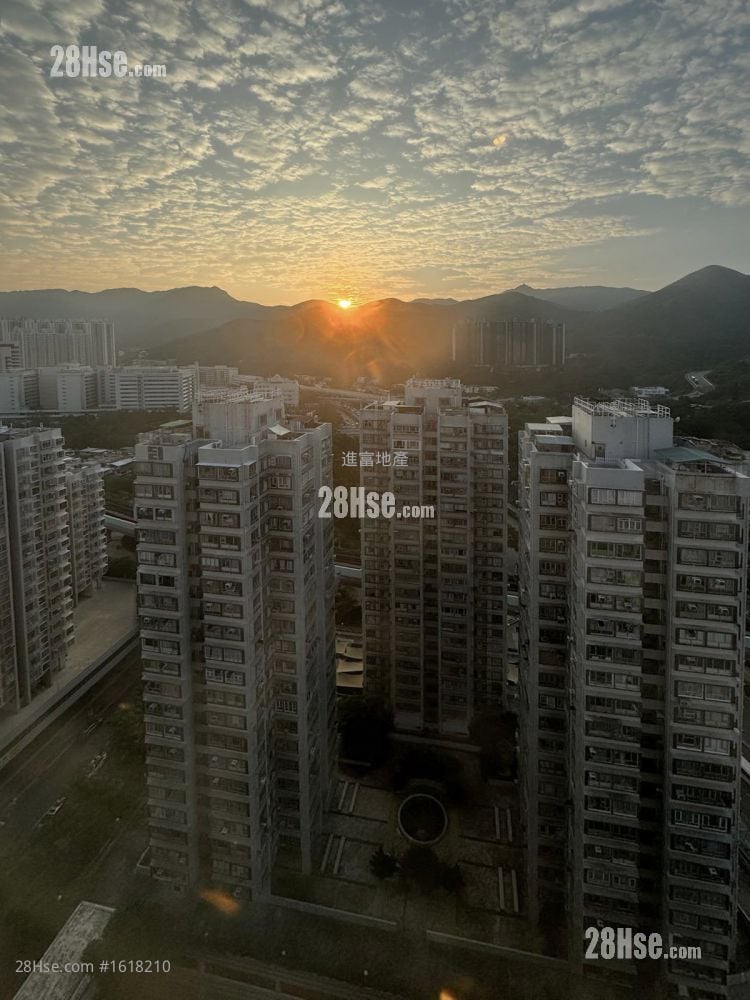 翠華花園 售盤 1 房 , 1 浴室 215 平方呎