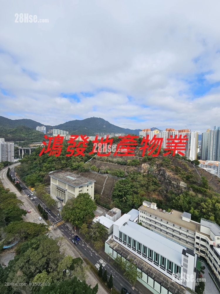 Madison Park Rental 1 Bedroom , 1 Bathroom 302 ft²