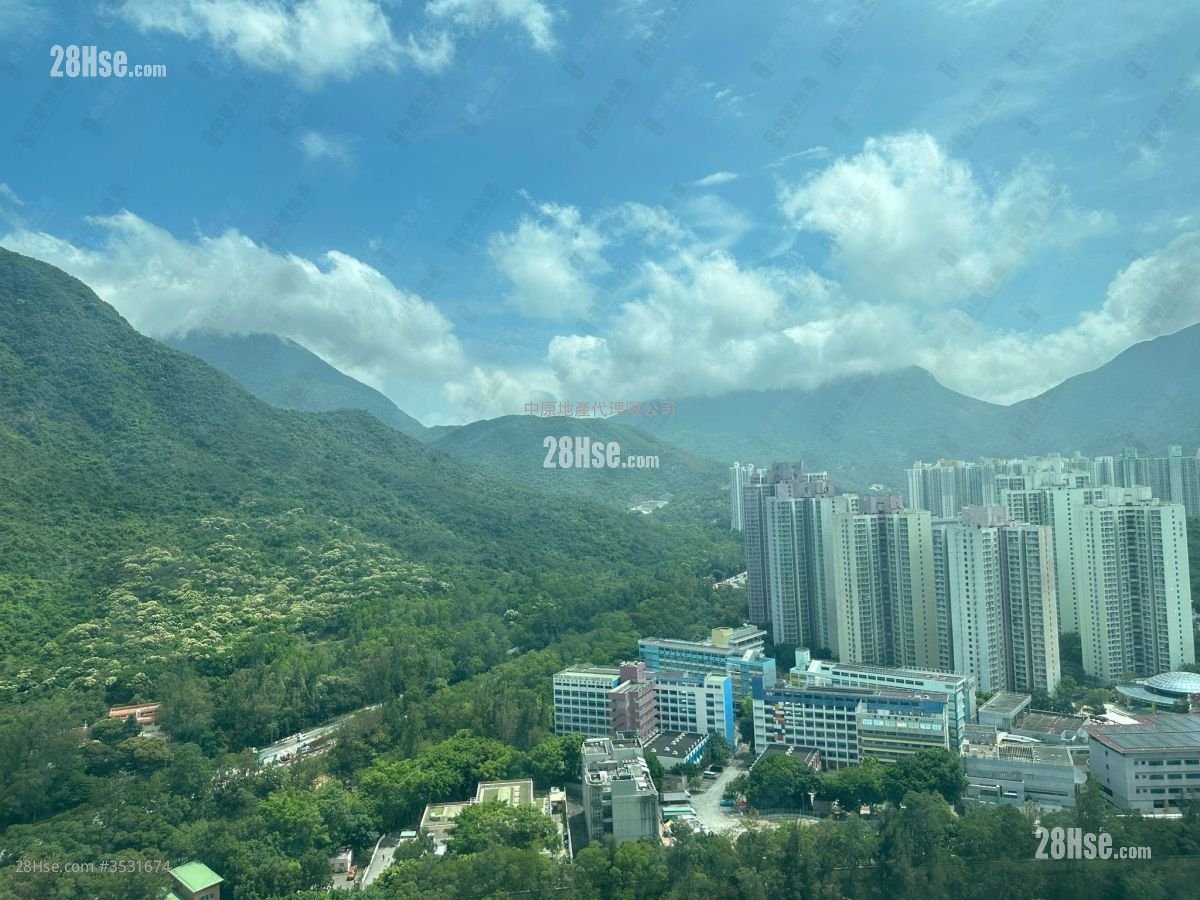 Coastal Skyline Sell 2 Bedrooms , 1 Bathroom 490 ft²