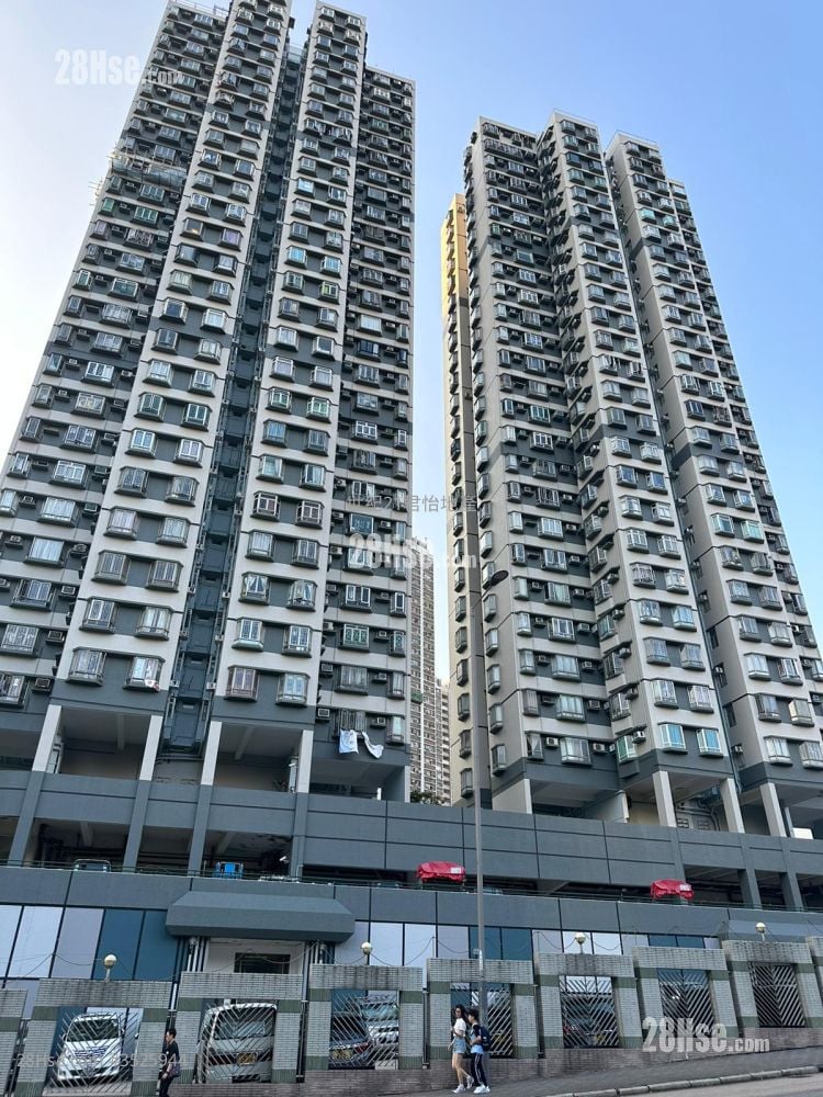 康涛阁 租盘 2 房 , 1 浴室 391 平方尺