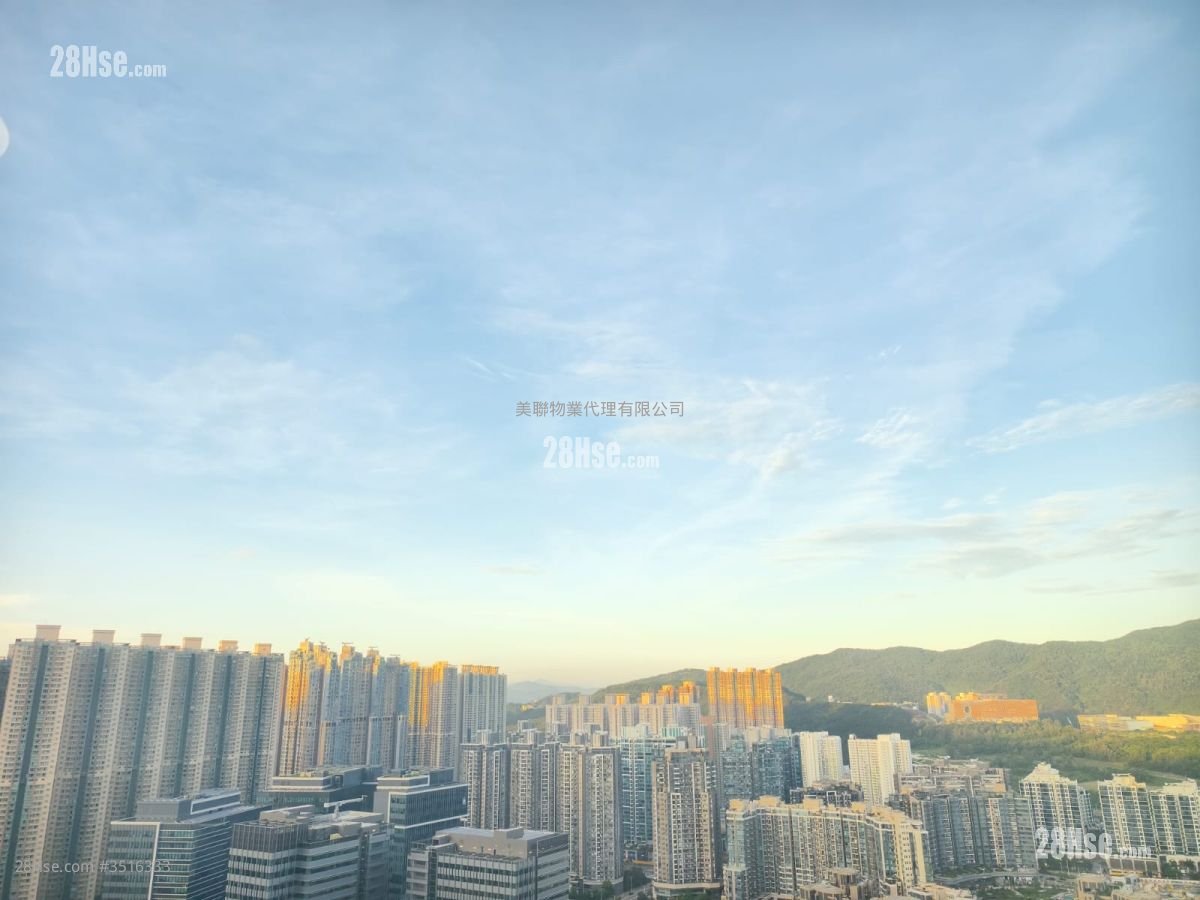 维景湾畔 租盘 484 平方尺