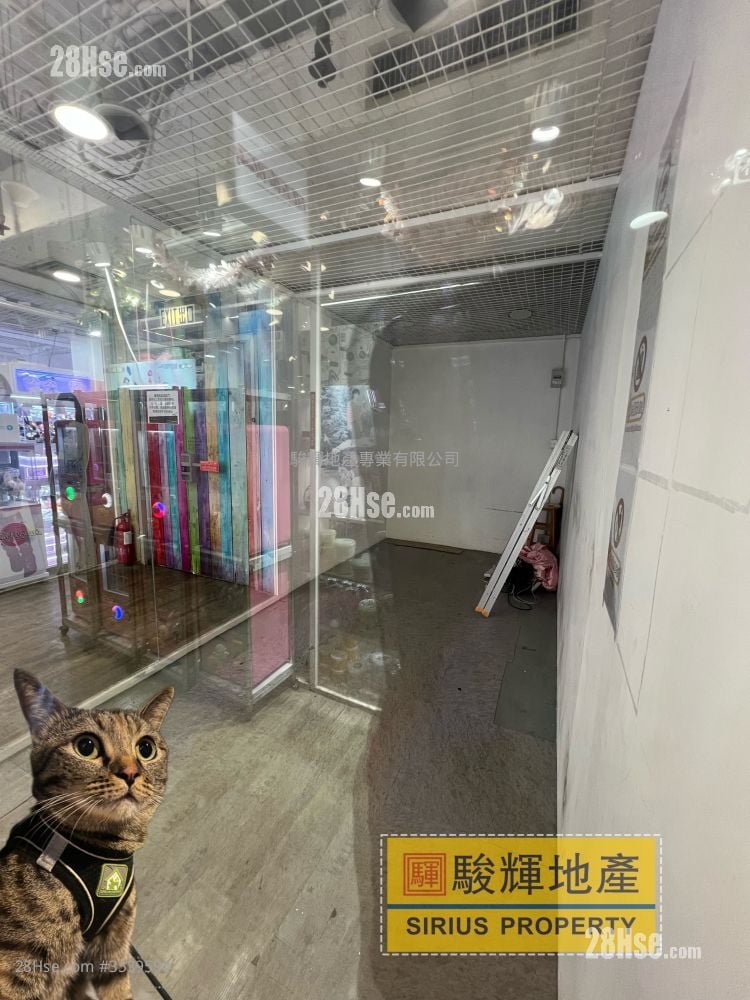 西九龍中心 租盤 開放式間隔