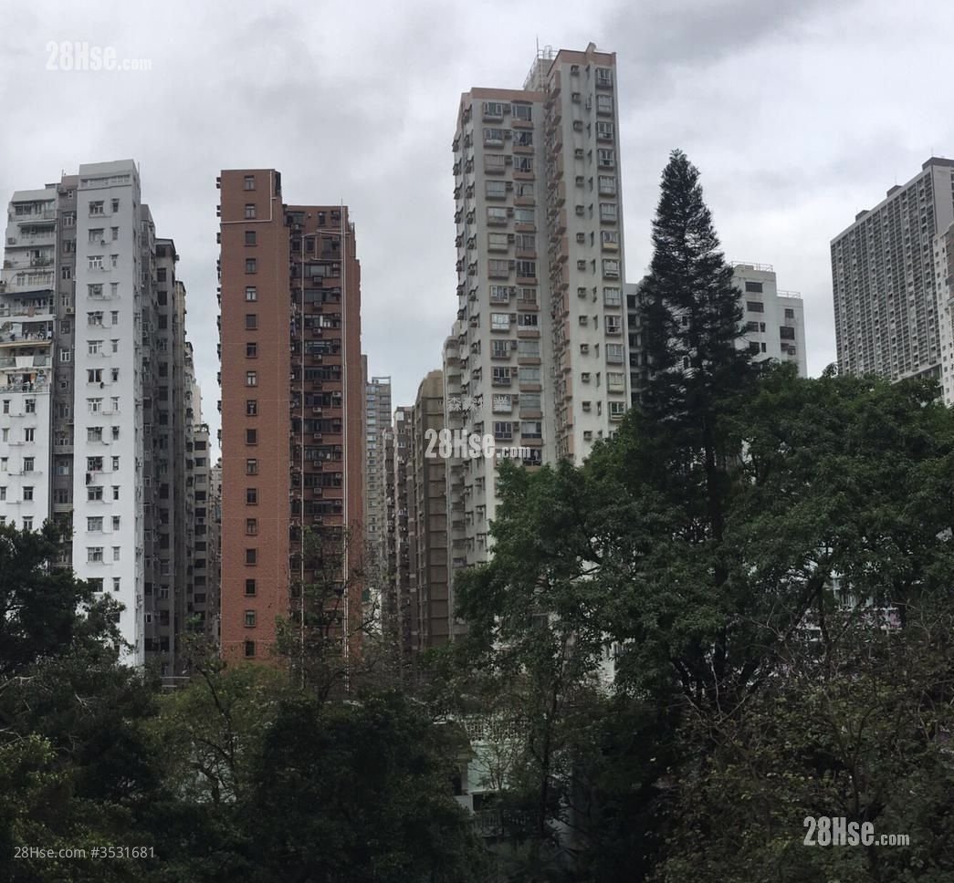 Golden Castle Mansion Rental 2 Bedrooms 590 ft²