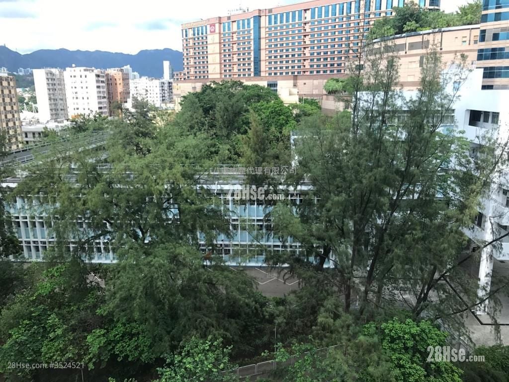 Eliza Building Rental 2 Bedrooms , 1 Bathroom 368 ft²
