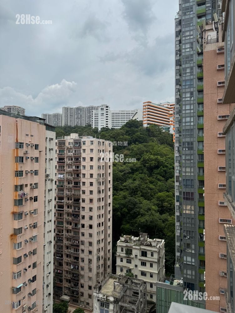 Mount East Rental 2 Bedrooms , 1 Bathroom 549 ft²