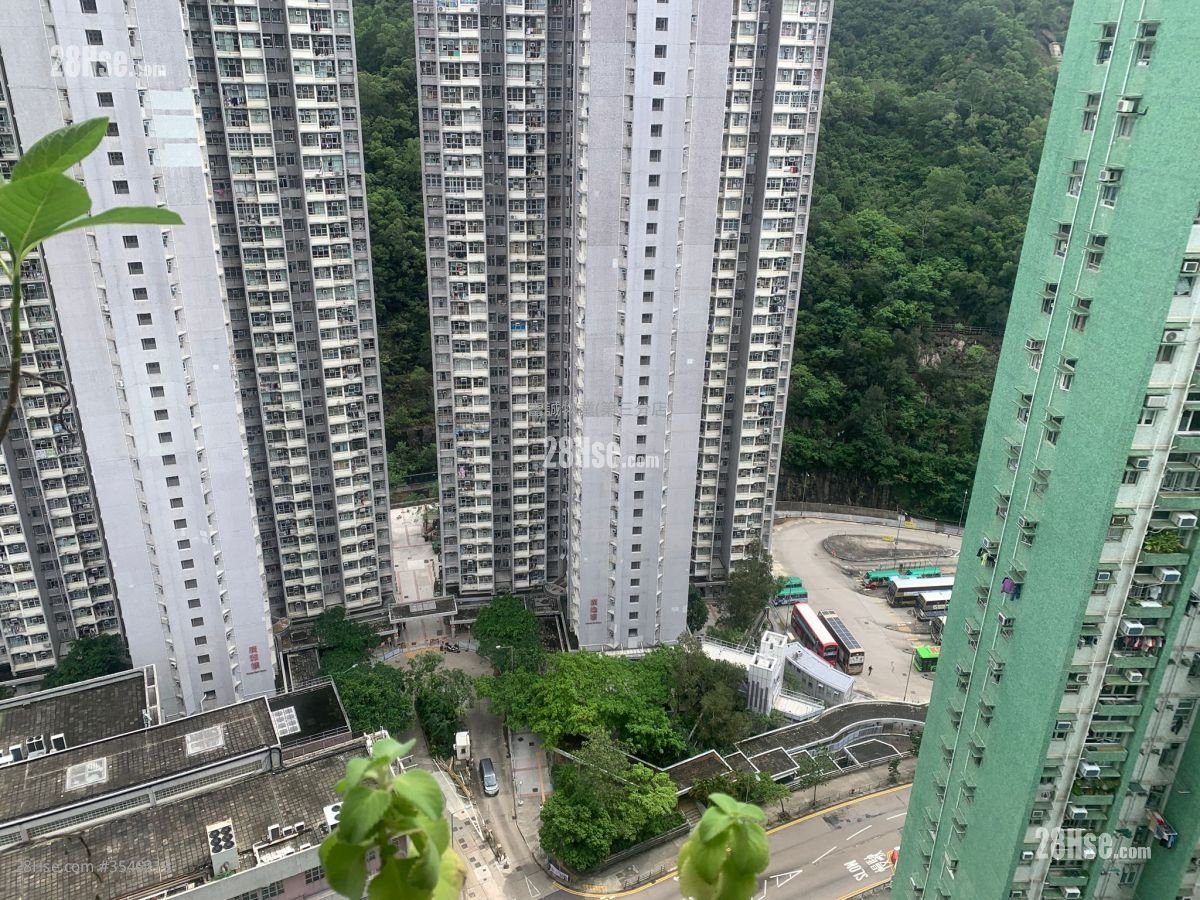 康柏苑 售盘 3 房 , 1 浴室 645 平方尺