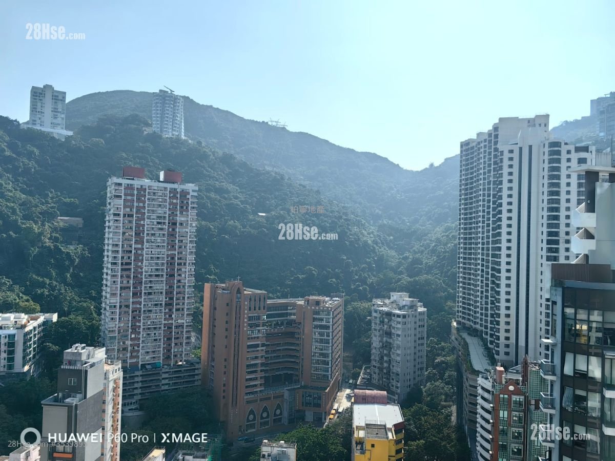 壹环 租盘 1 房 , 1 浴室 393 平方尺