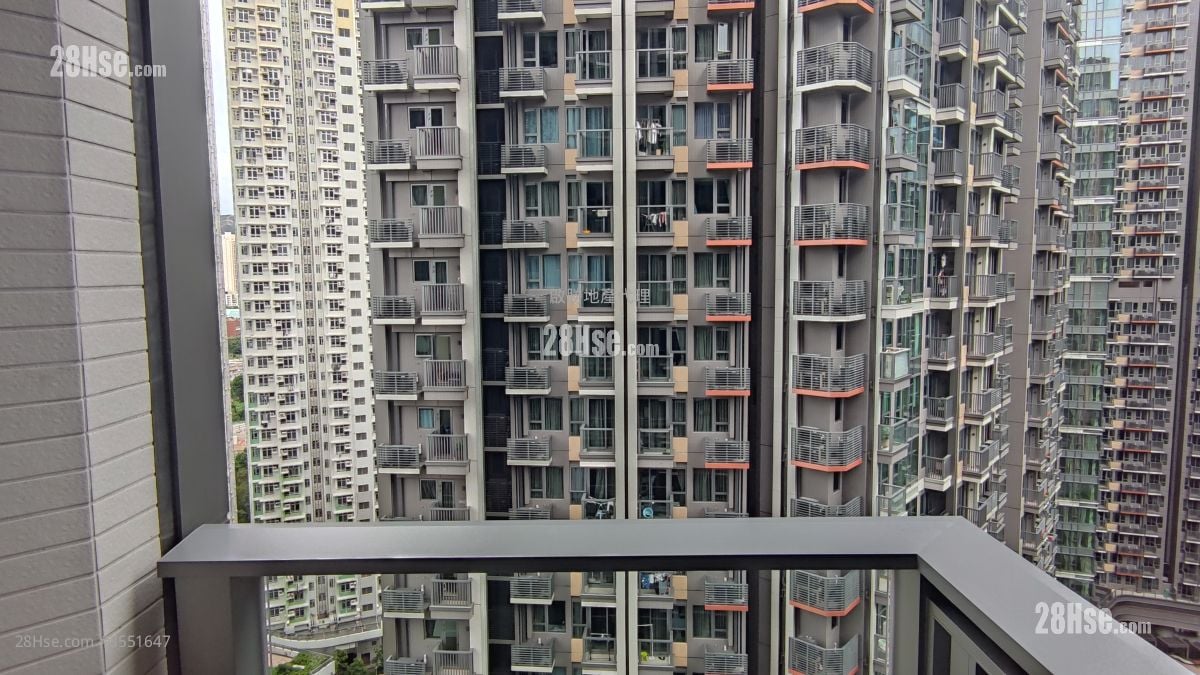 露台及景观