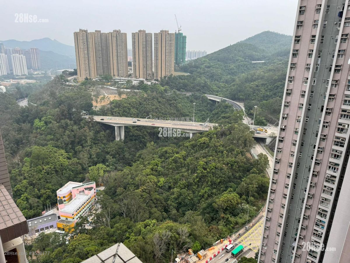 景明苑 售盘 401 平方尺