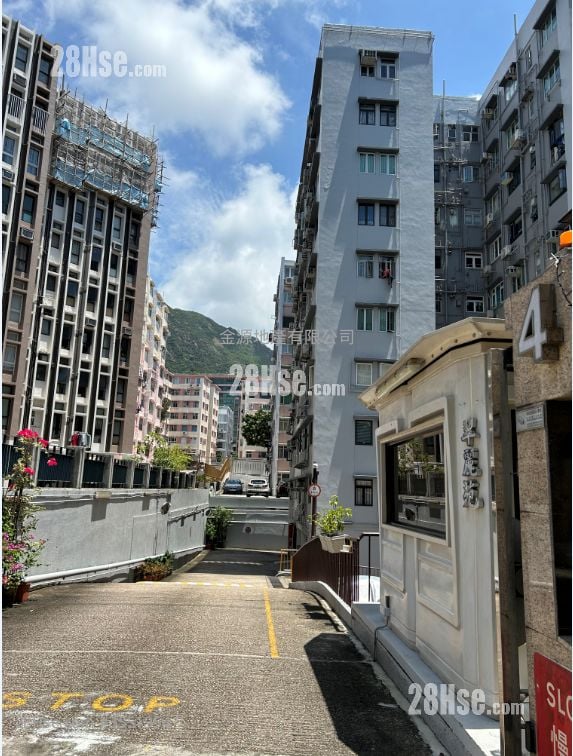 翠丽苑 租盘 1 房 70 平方尺