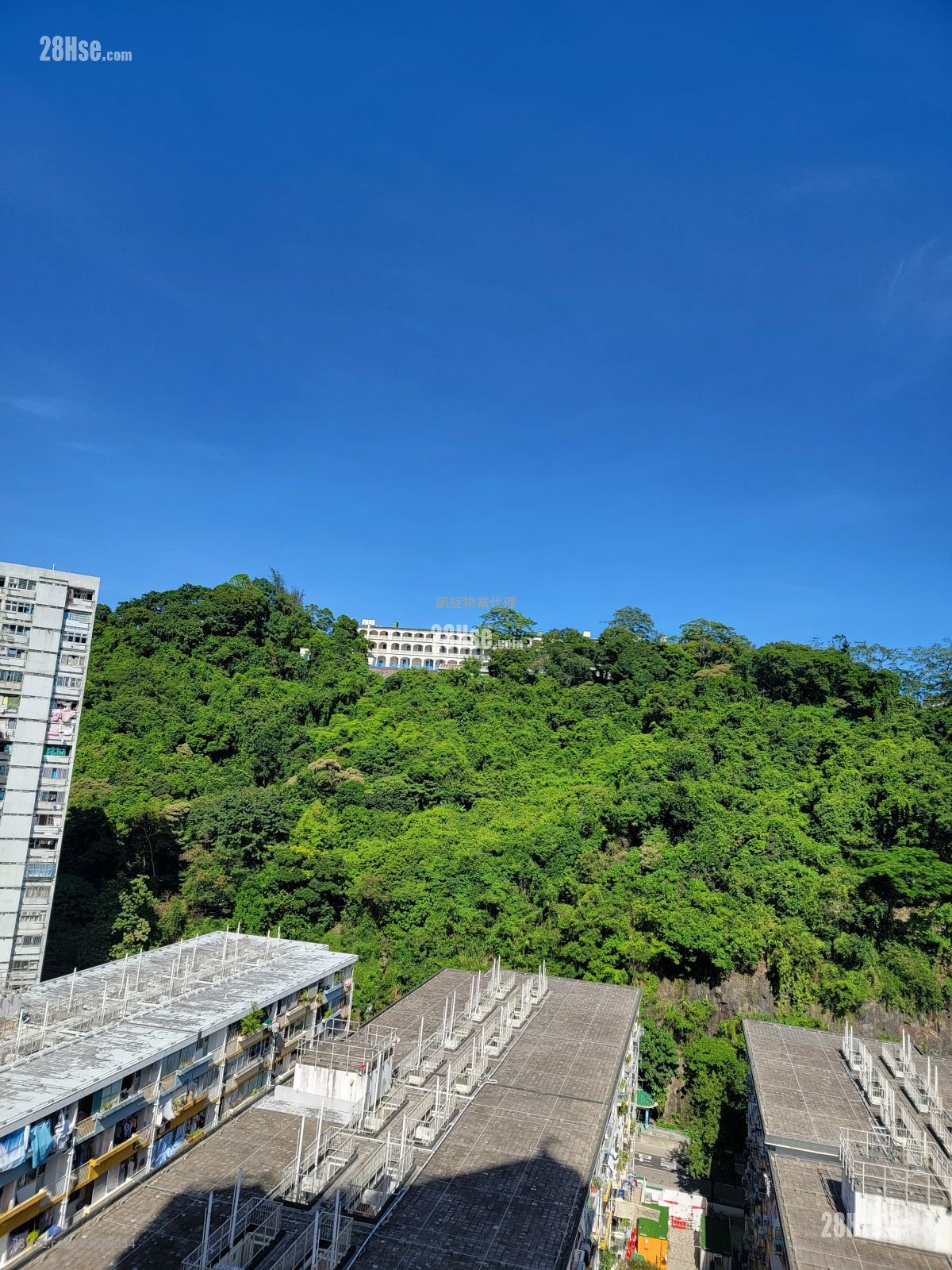傲華 租盤 1 房 , 1 浴室 283 平方呎
