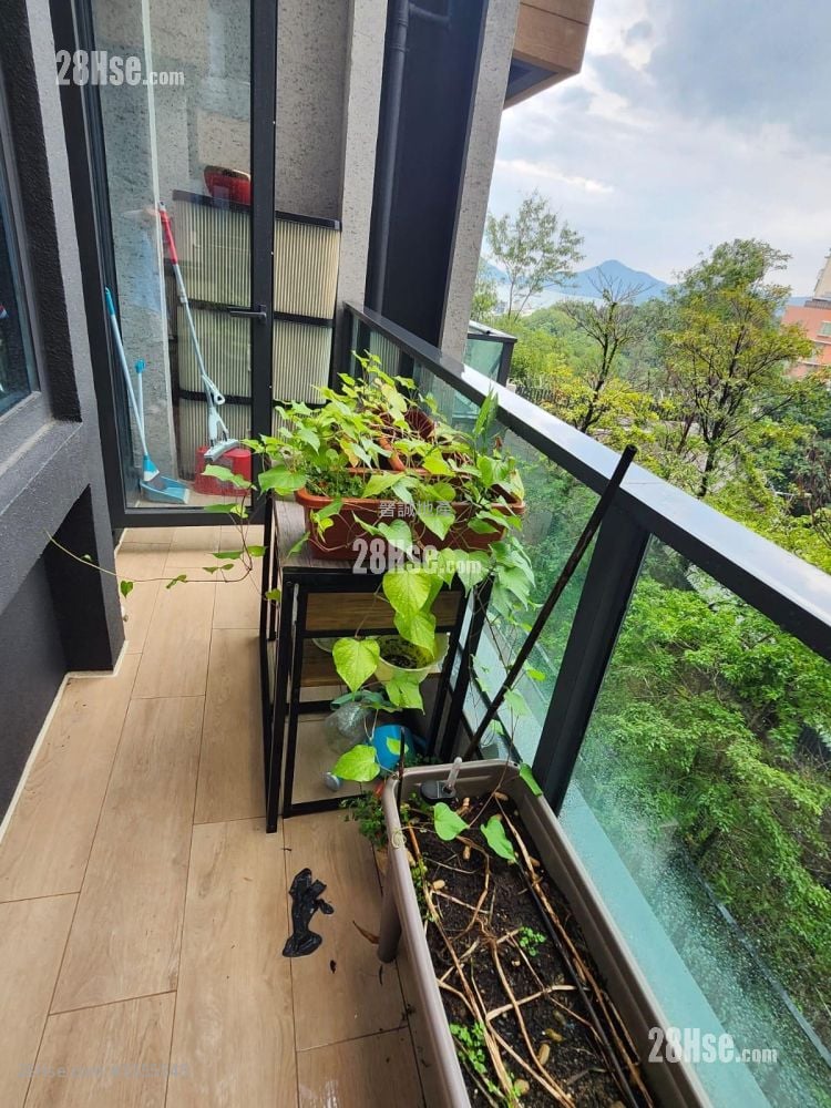 Oma By The Sea Rental 2 Bedrooms , 1 Bathroom 471 ft²