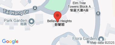碧兰阁 Middle Floor 物业地址