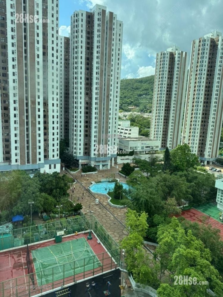 绿杨新邨 租盘 2 房 , 1 浴室 451 平方尺