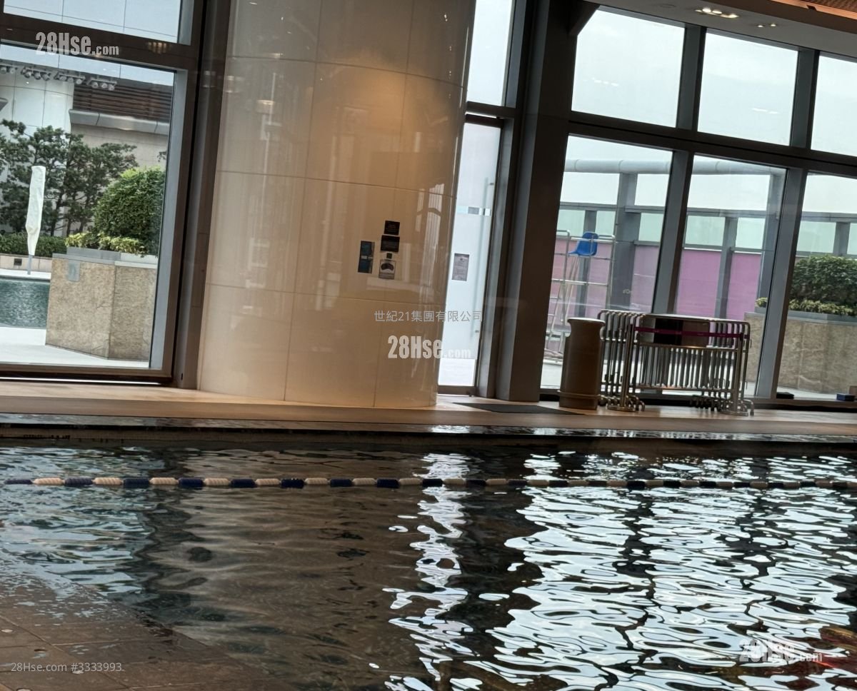 室内游泳池indoor swimming pool  室内游泳池indoor swimming pool