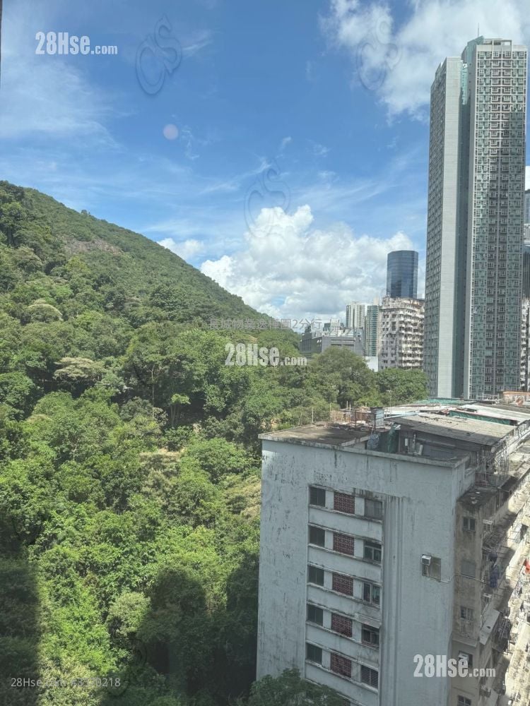 康景花园 租盘 2 房 , 1 浴室 442 平方尺
