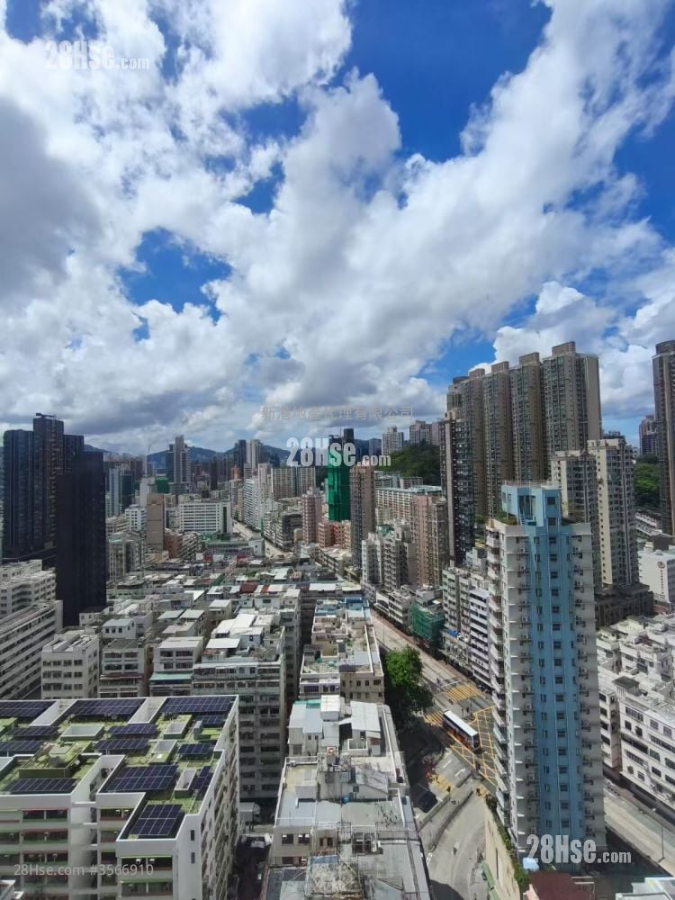 Downtown 38 Rental 1 Bedroom , 1 Bathroom 309 ft²