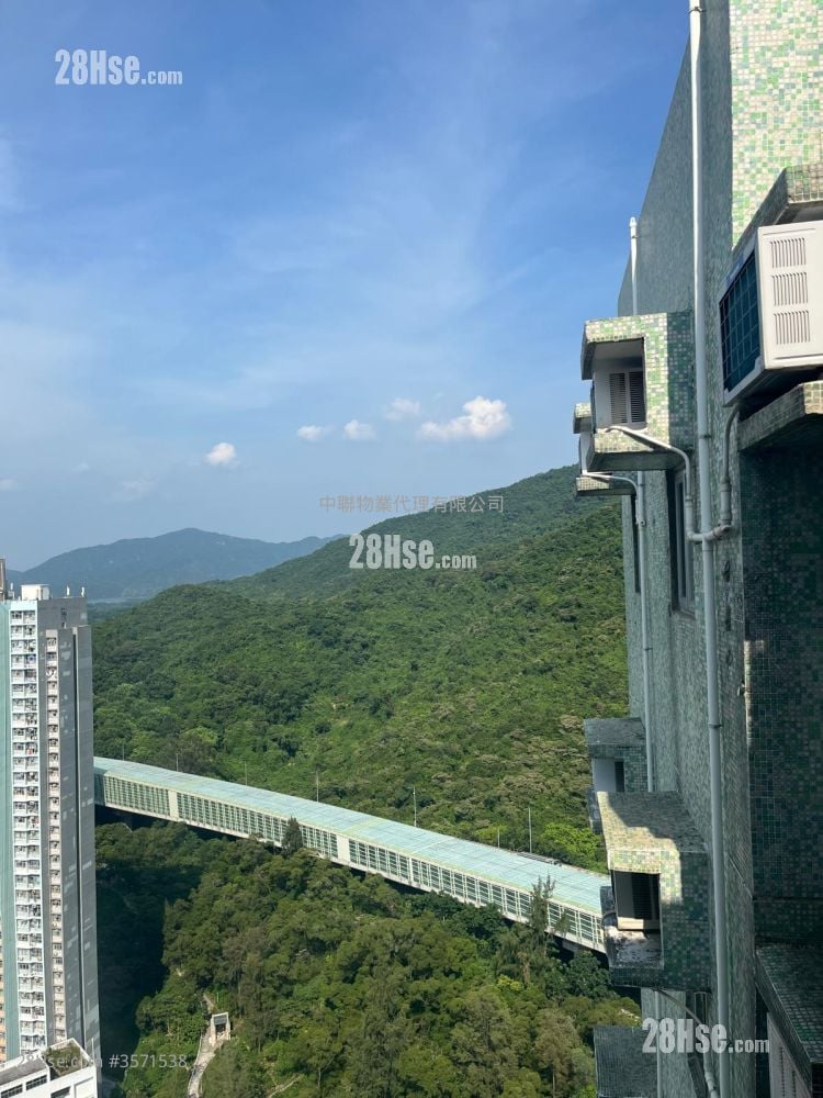 富宝花园 售盘 482 平方尺