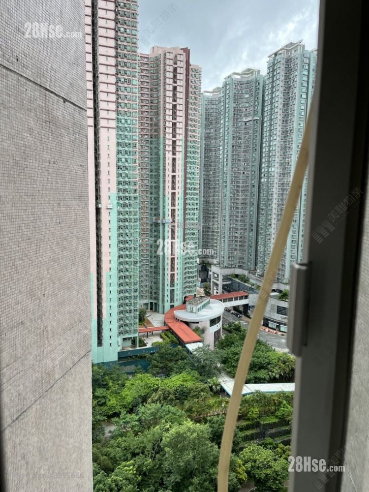 景林邨 售盘 1 浴室 153 平方尺