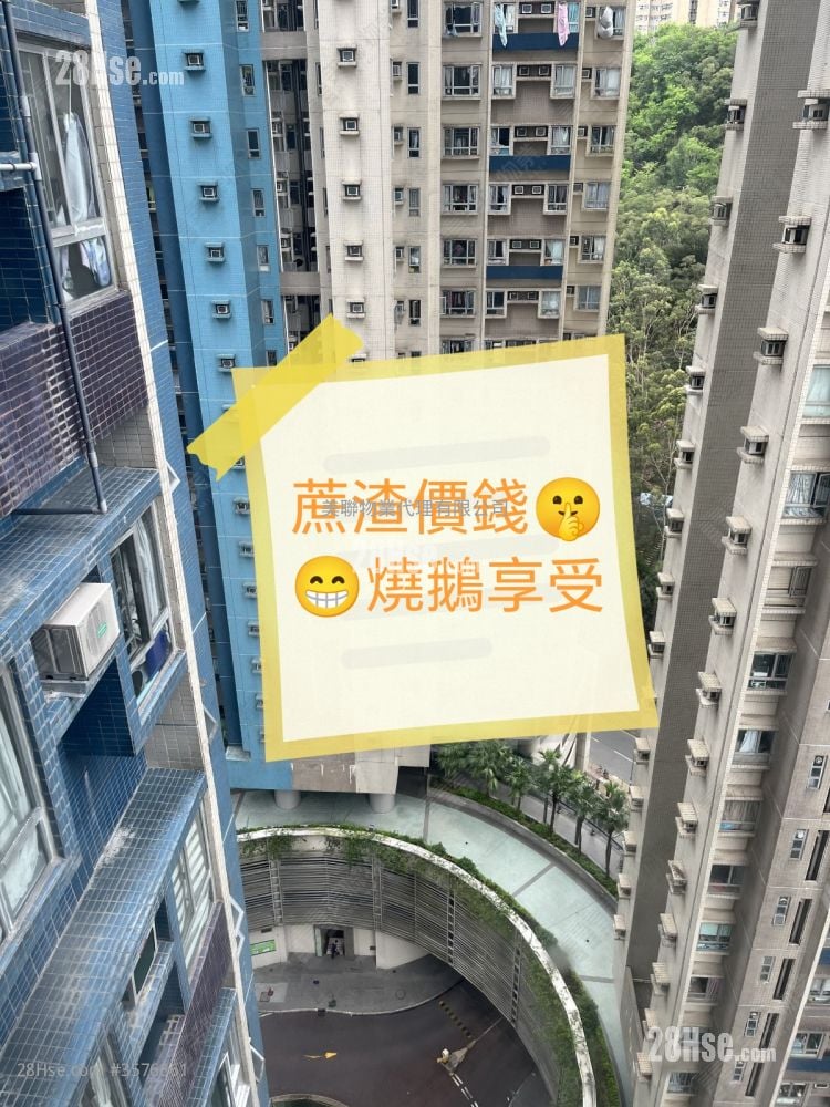 怡心园 售盘 3 房 604 平方尺