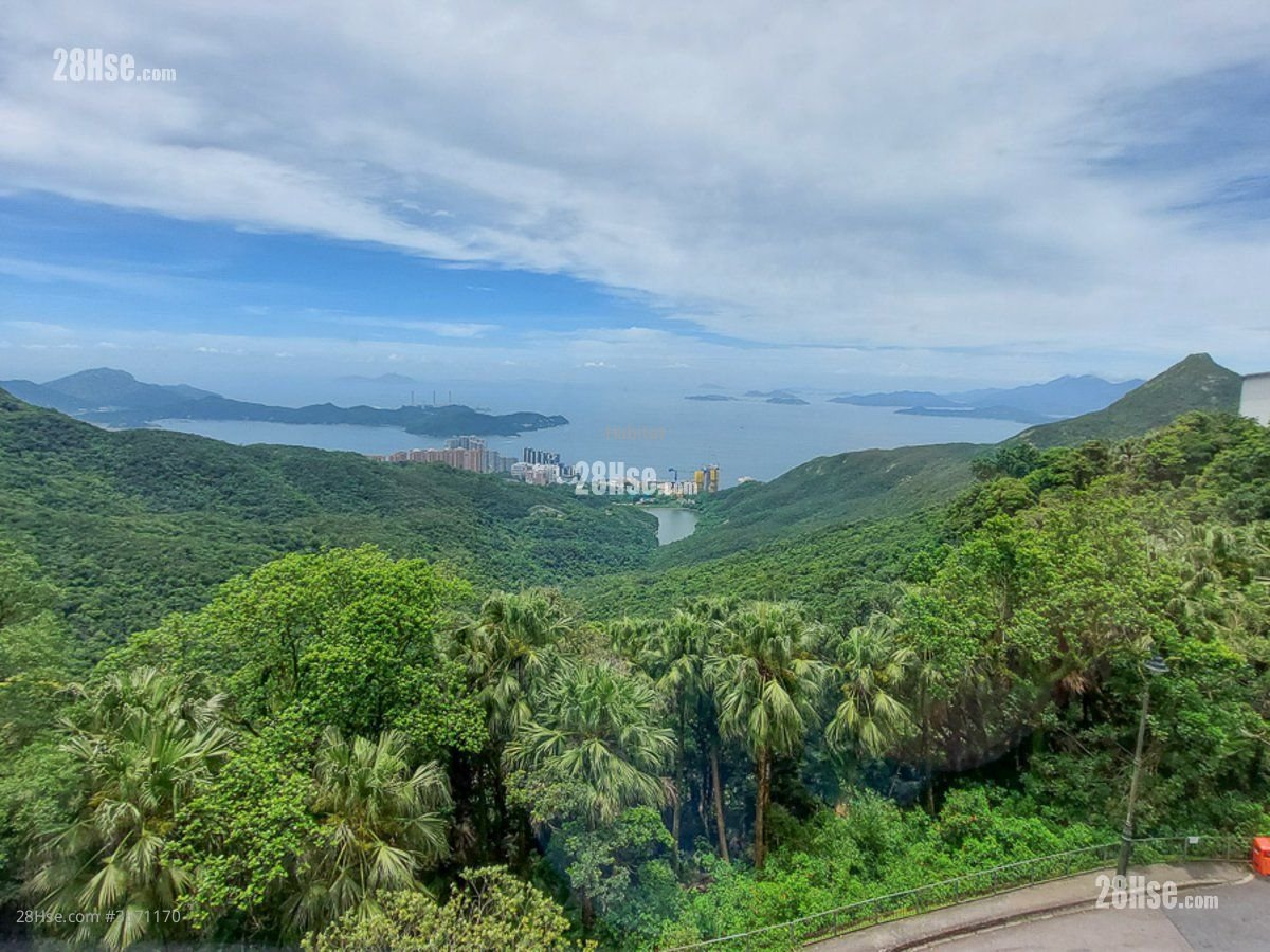 The Mount Austin 租盤 4 房 , 4 浴室 3,235 平方呎