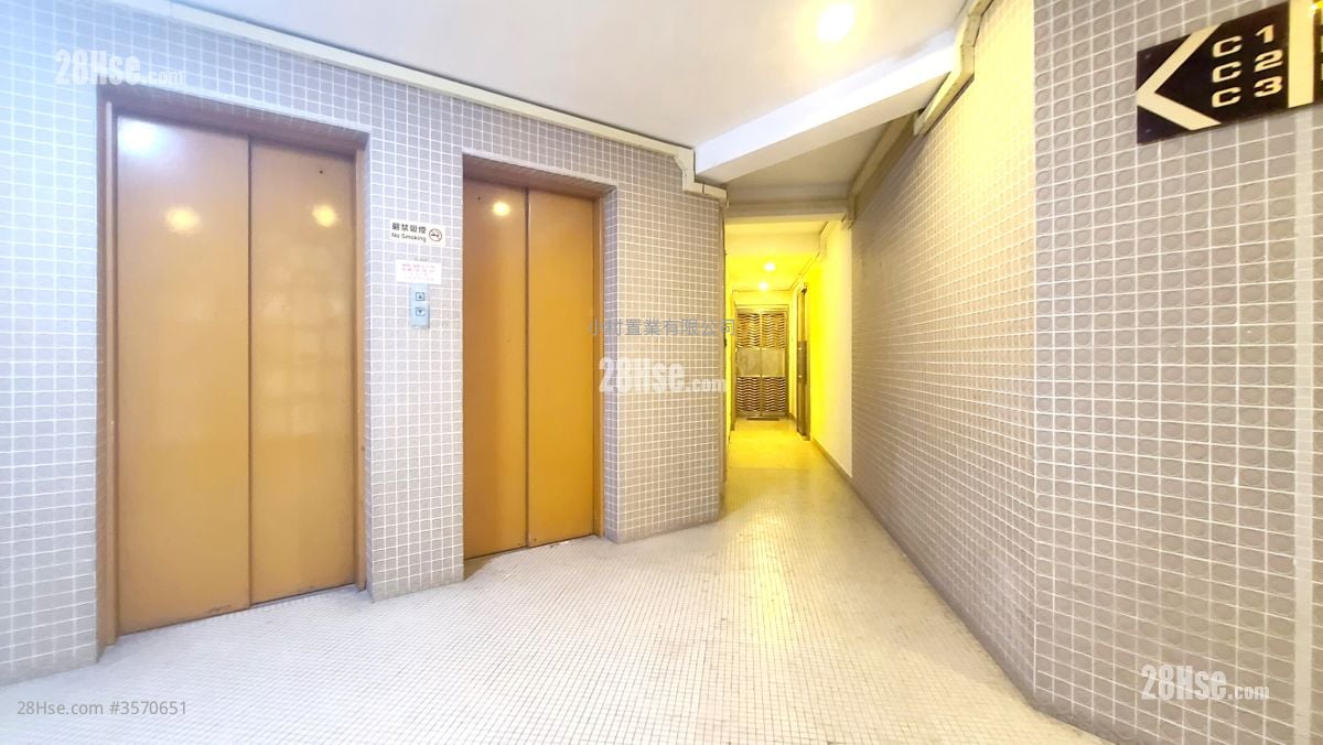 其它: Elevator 其它: Elevator