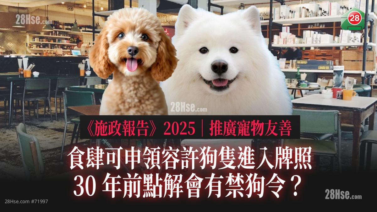 《施政报告》2025｜推广宠物友善 食肆可申领容许狗只进入牌照  30年前点解会有禁狗令？