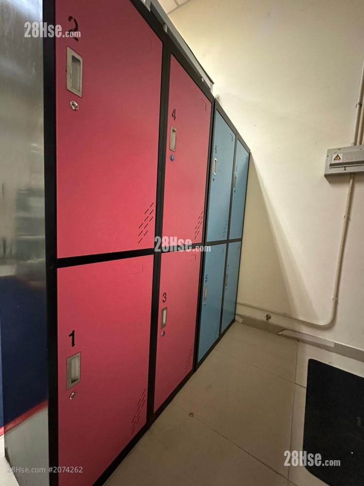 富丽花园 租盘 开放式间隔 , 1 浴室 300 平方尺