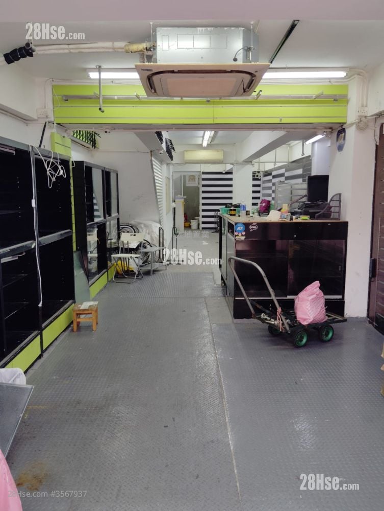 大埔墟仁兴街 租盘 843 平方尺 大埔墟仁兴街 租盘 843 平方尺